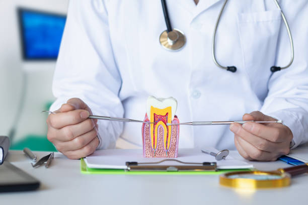 Best Emergency Dental Care for Broken or Chipped Teeth in St Clair, MO